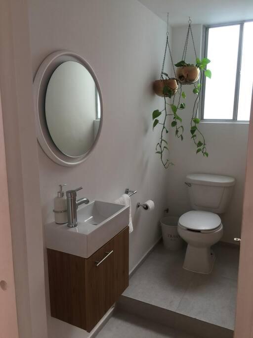 Cozy Apartment In Condesa'S Heart ! Mexikóváros Kültér fotó