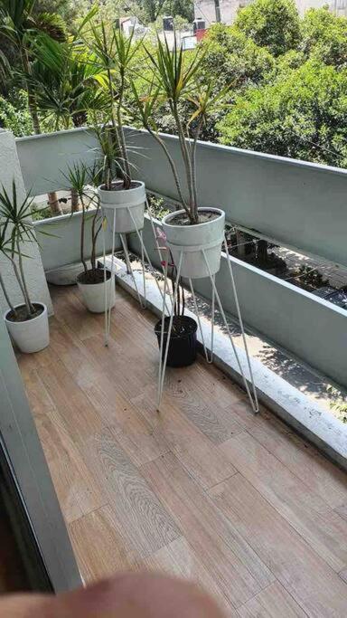 Cozy Apartment In Condesa'S Heart ! Mexikóváros Kültér fotó